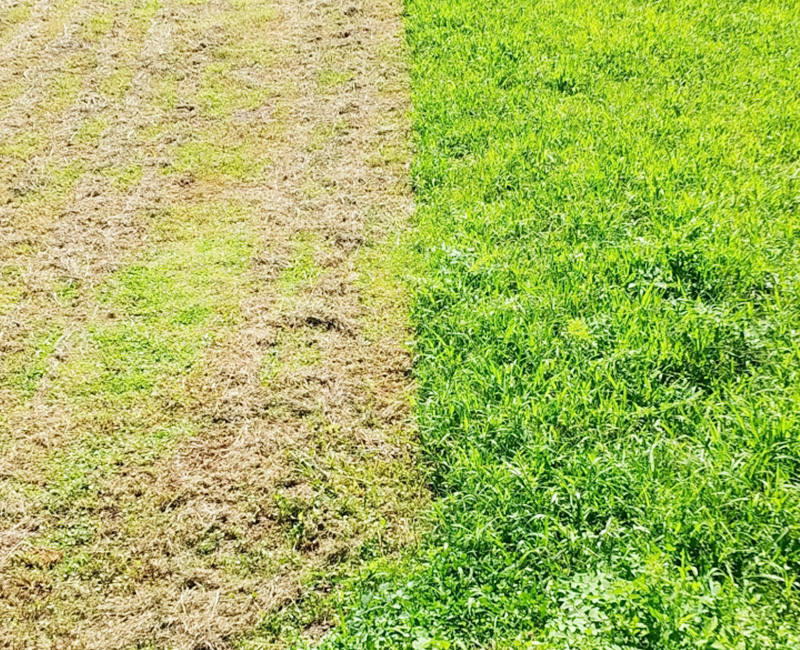 仕上がりも安心のビフォーアフター報告