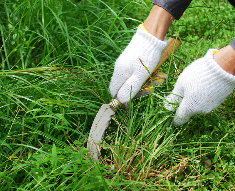 「草が伸びた…！」そんな時こそ、OGSにおまかせ！